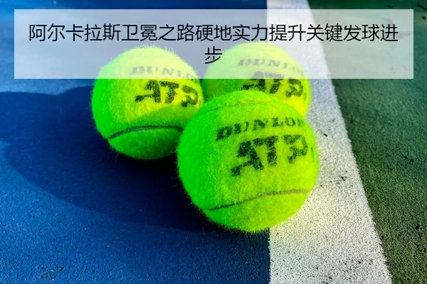 a-er-ka-la-si-wei-mian-zhi-lu-ying-di-shi-li-ti-sheng-guan-jian-fa-qiu-jin-bu-3-309.jpg