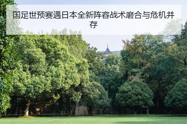 guo-zu-shi-yu-sai-yu-ri-ben-quan-xin-zhen-rong-zhan-shu-mo-he-yu-wei-ji-bing-cun-2-792.jpg
