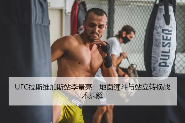 UFC拉斯维加斯站李景亮：地面缠斗与站立转换战术拆解