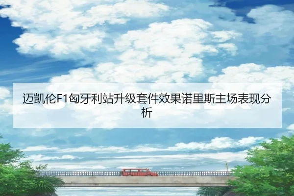 迈凯伦F1匈牙利站升级套件效果诺里斯主场表现分析