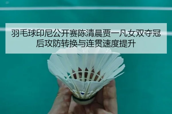 yu-mao-qiu-yin-ni-gong-kai-sai-chen-qing-chen-jia-yi-fan-nv-shuang-duo-guan-hou-gong-fang-zhuan-huan-yu-lian-guan-su-du-3-938.jpg